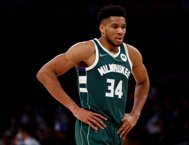 执教过多支德甲球队，记者：拉巴迪亚曾进入国足选帅最终阶段（记者称拉巴迪亚曾入围国足选帅最后阶段，曾执教多家德甲队）